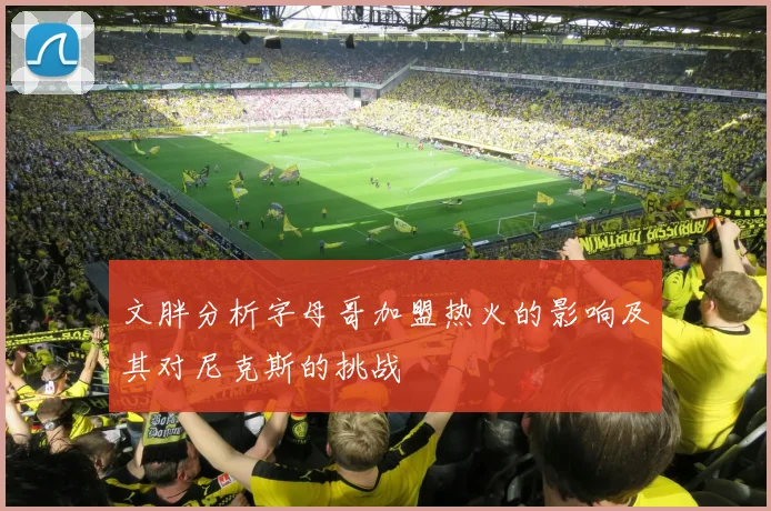 文胖分析字母哥加盟热火的影响及其对尼克斯的挑战