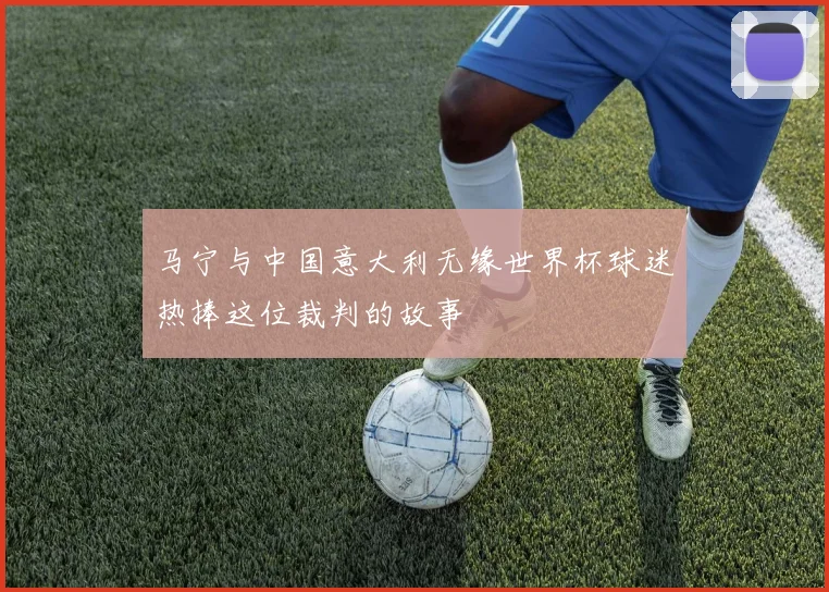马宁与中国意大利无缘世界杯球迷热捧这位裁判的故事
